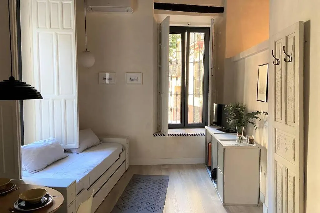 Apartamentos Santa Cruz, Centro Sevilla 0*,  Španělsko
